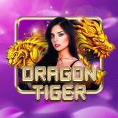 Dragon Tiger live casino WK777